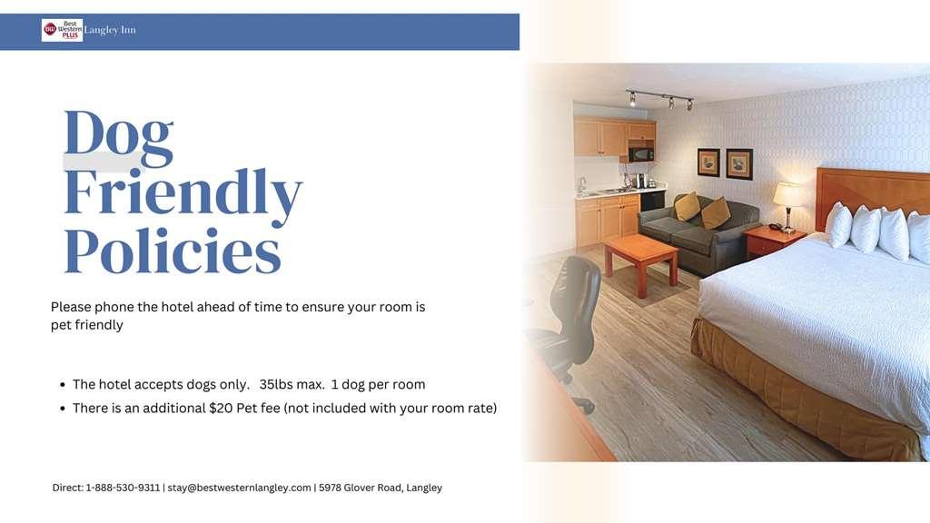 Best Western Plus Langley Inn Номер фото